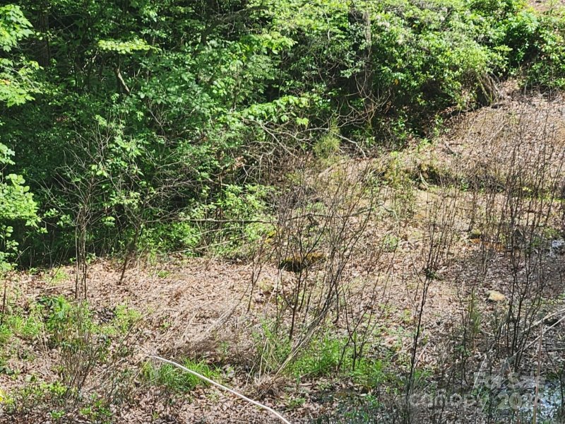 Property image 5 of 00 Hickory Nut Lane in Riverbend Highlands, Lake Lure, NC 28746