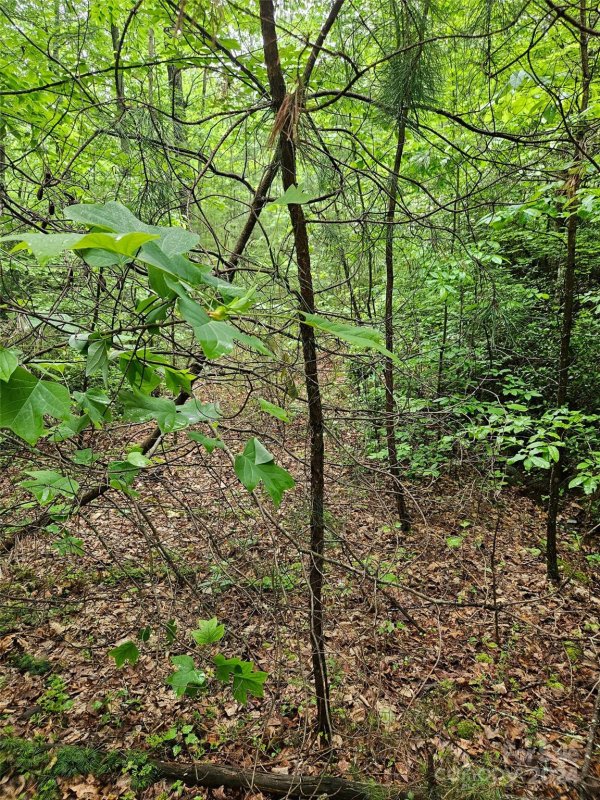 Property image 3 of 00 Brookside Parkway in Brookside Forest, Lake Lure, NC 28746