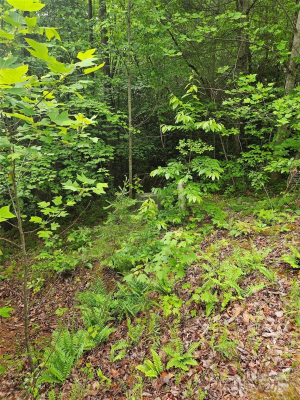 Property image 4 of 00 Brookside Parkway in Brookside Forest, Lake Lure, NC 28746