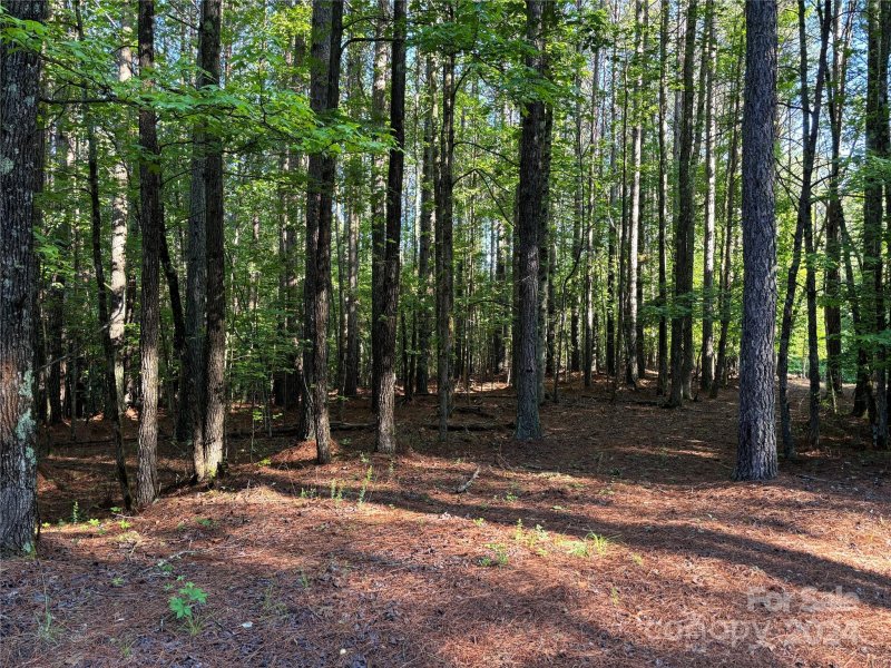 Property image 3 at 2651 E Paradise Harbor Drive, Connelly Springs, NC 28612