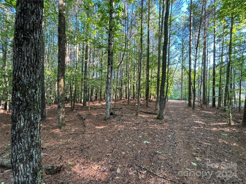 Property image 4 at 2651 E Paradise Harbor Drive, Connelly Springs, NC 28612