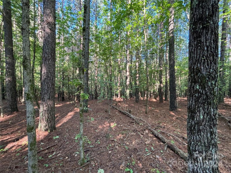 Property image 5 at 2651 E Paradise Harbor Drive, Connelly Springs, NC 28612