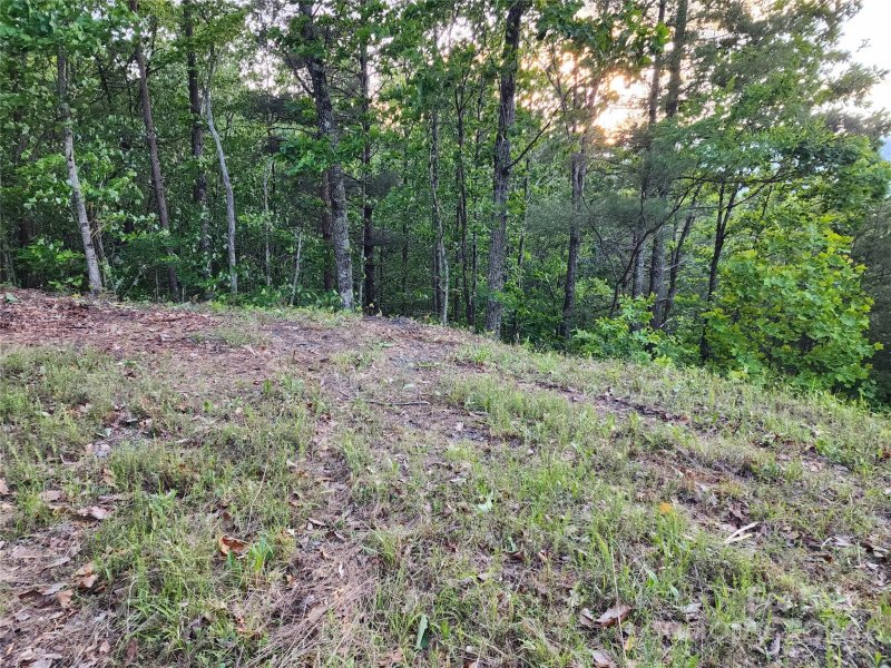 Property image 2 at 87 Mountain Lookout Drive, Bostic, NC 28018