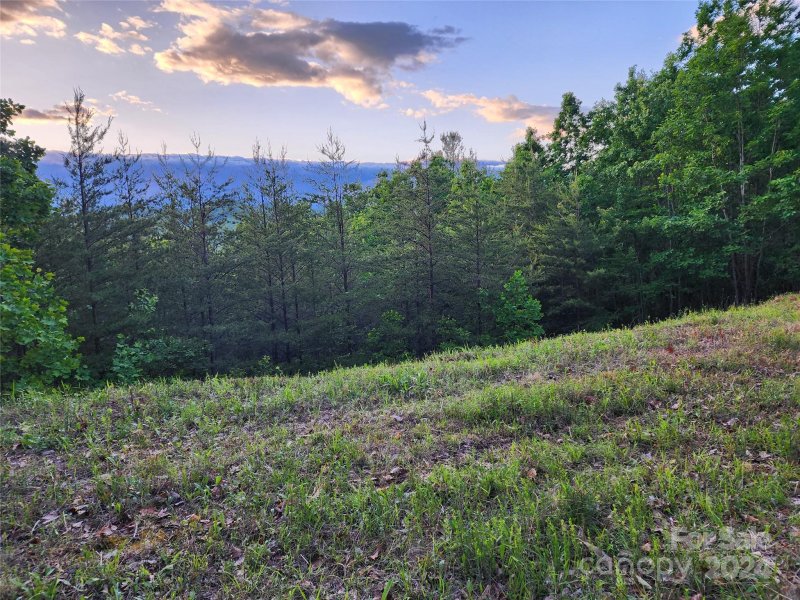 Property image 3 at 87 Mountain Lookout Drive, Bostic, NC 28018