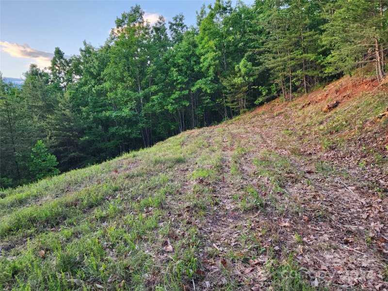 Property image 4 at 87 Mountain Lookout Drive, Bostic, NC 28018