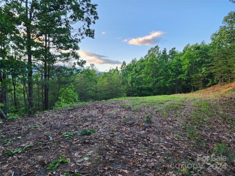 Property image 5 at 87 Mountain Lookout Drive, Bostic, NC 28018