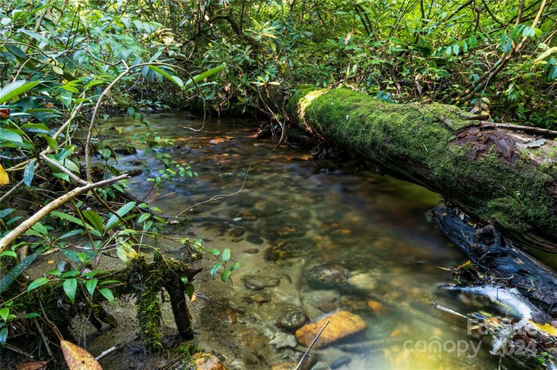 Property image 5 at 42 Pine Forest Court, Sapphire, NC 28774