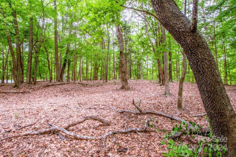 Property image 3 at 393 Lakeview Shores Loop, Mooresville, NC 28117