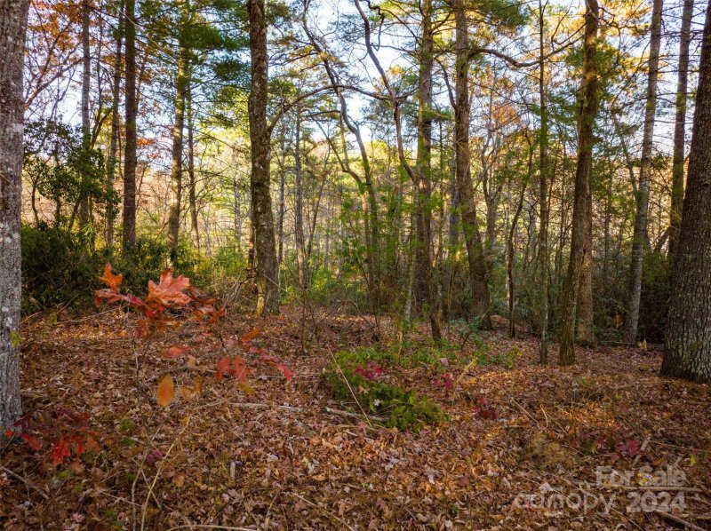 Property image 2 at Lot 7 Alexander Crest Drive, Fairview, NC 28730