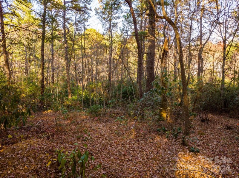 Property image 3 at Lot 7 Alexander Crest Drive, Fairview, NC 28730