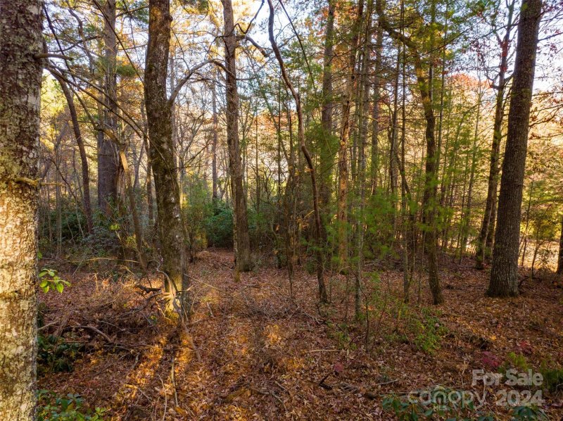 Property image 4 at Lot 7 Alexander Crest Drive, Fairview, NC 28730