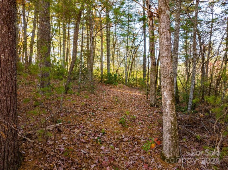 Property image 5 at Lot 7 Alexander Crest Drive, Fairview, NC 28730