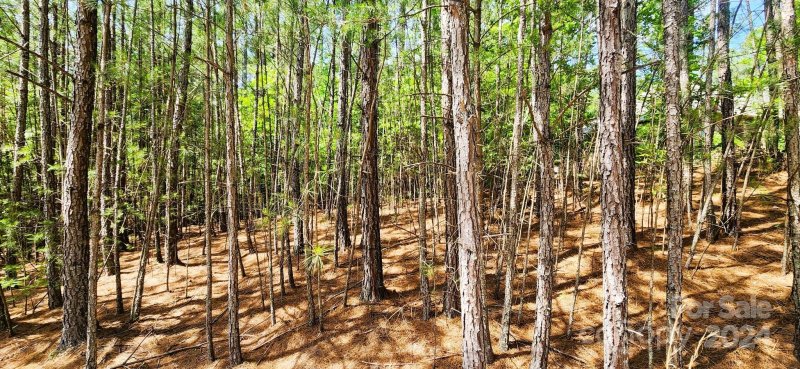 Property image 2 at 5485 Bridgewater Drive, Granite Falls, NC 28630