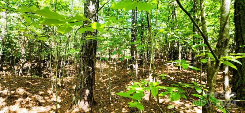 Property image 3 at 5485 Bridgewater Drive, Granite Falls, NC 28630