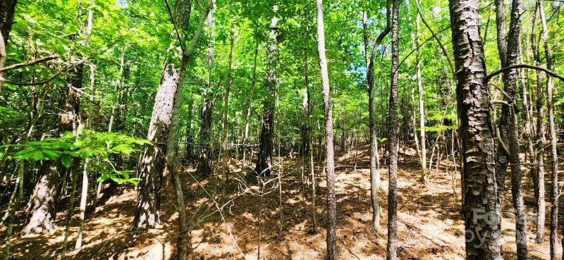 Property image 4 at 5485 Bridgewater Drive, Granite Falls, NC 28630