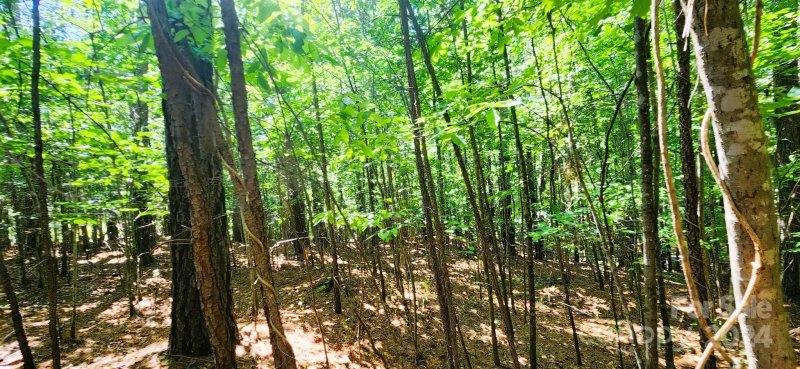 Property image 5 at 5485 Bridgewater Drive, Granite Falls, NC 28630