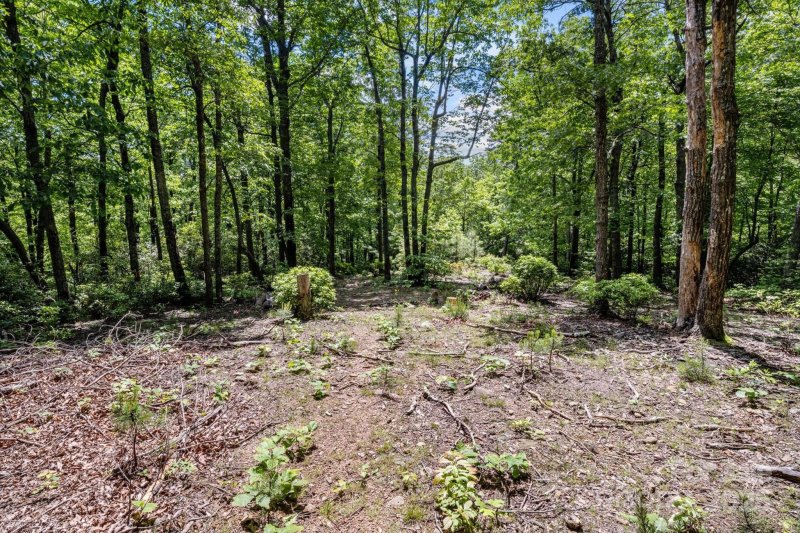 Property image 4 of 99999 Arrowhead Trail in Camp Skyuka, Columbus, NC 28722