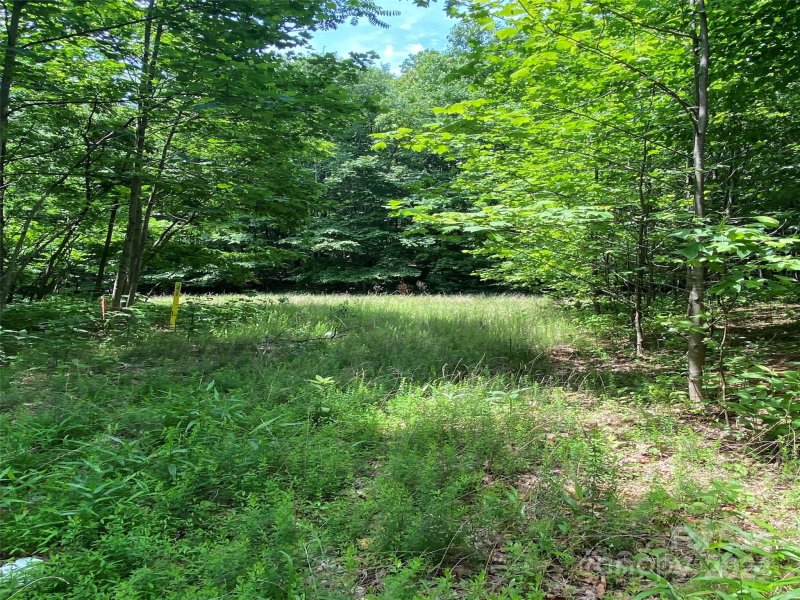 Property image 2 of 199 Cherry Hill None in Brights Creek, Mill Spring, NC 28756