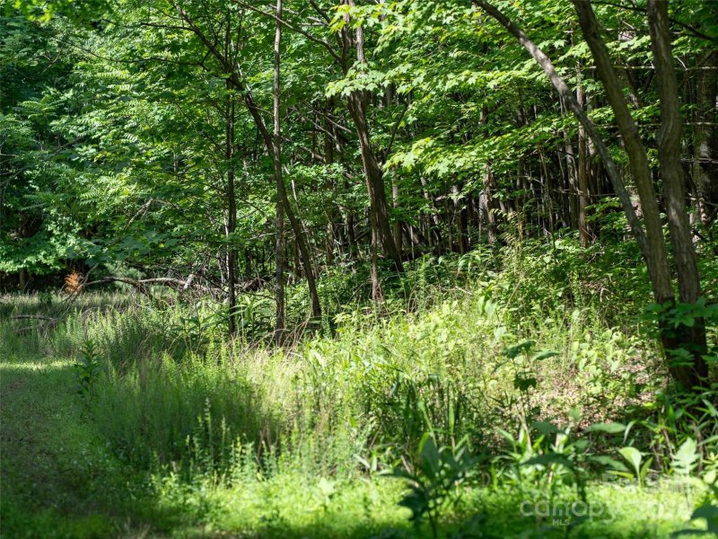 Property image 4 of 199 Cherry Hill None in Brights Creek, Mill Spring, NC 28756