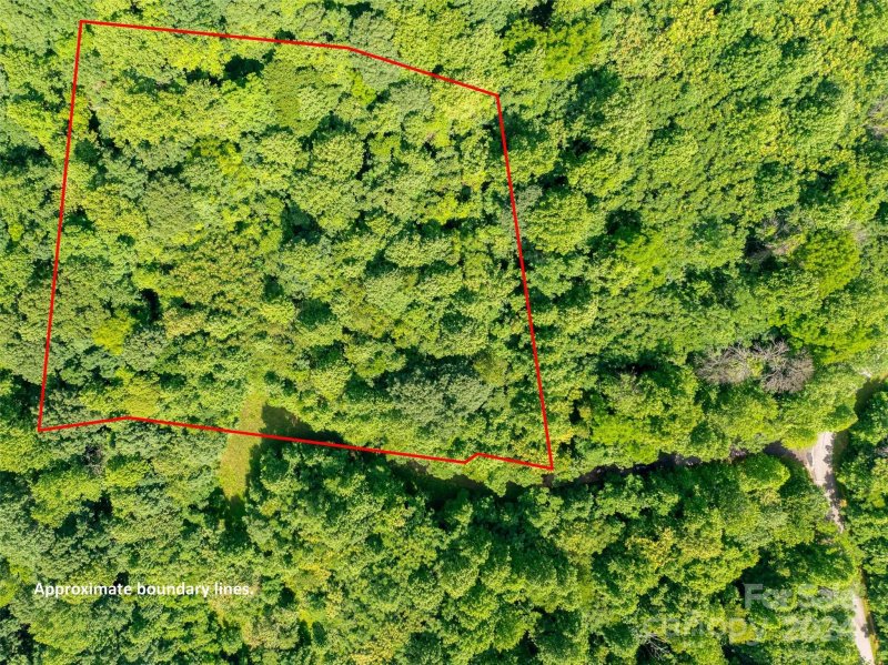 Property image 5 of 199 Cherry Hill None in Brights Creek, Mill Spring, NC 28756