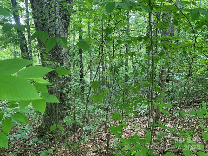 Property image 3 at Lot 15 Walnut Ridge Drive, Lenoir, NC 28645