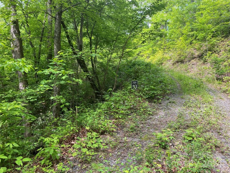 Property image 4 of Lot 93 Alarka Highlands Drive in Alarka Highlands, Bryson City, NC 28713