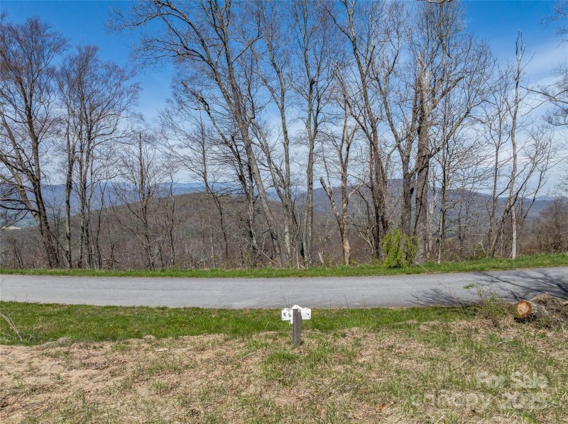 Property image 2 of 56 Snow Ridge Drive in Grand Highlands at Bearwallow, Hendersonville, NC 28792