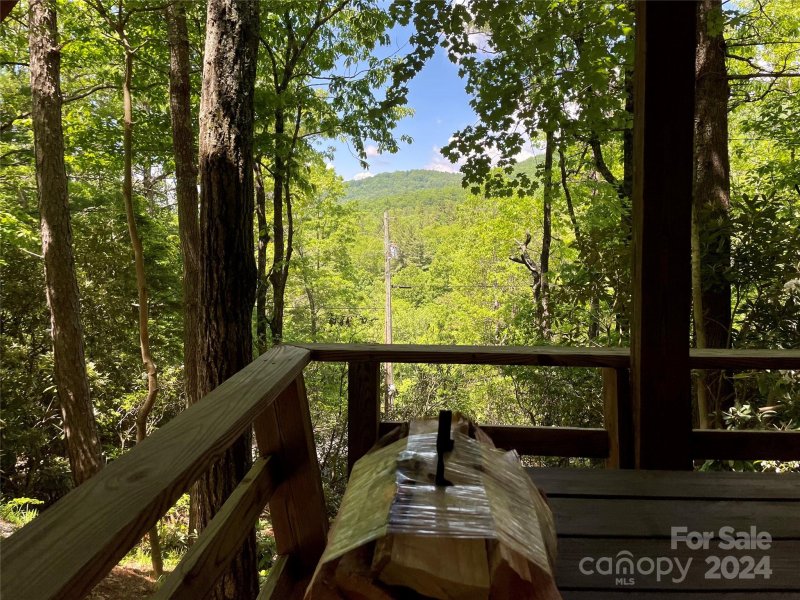 Property image 5 at 46 Bear Wallow Drive, Spruce Pine, NC 28777