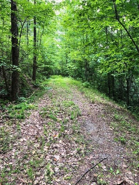 Lot 46 Lake Adger Parkway