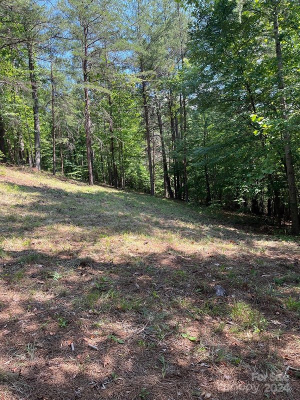 Property image 3 of Lot 46 Lake Adger Parkway in Lake Adger, Mill Spring, NC 28756