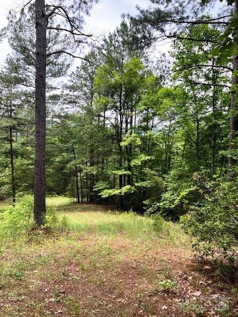 Property image 5 of Lot 46 Lake Adger Parkway in Lake Adger, Mill Spring, NC 28756