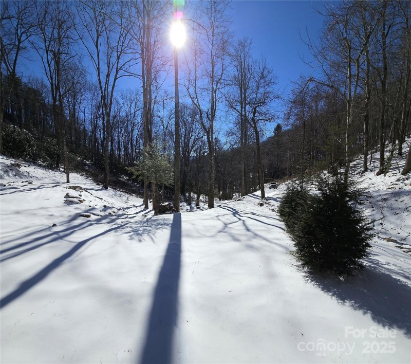 Property image 3 of 264 Quiet Times Drive in The Woods, Burnsville, NC 28714
