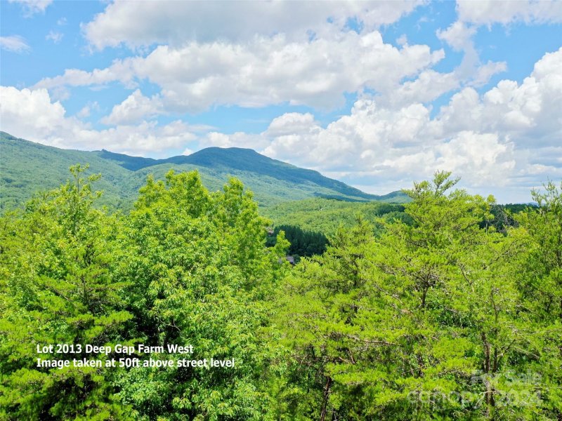 Property image 5 at 2013 Deep Gap Farm Road, Mill Spring, NC 28756