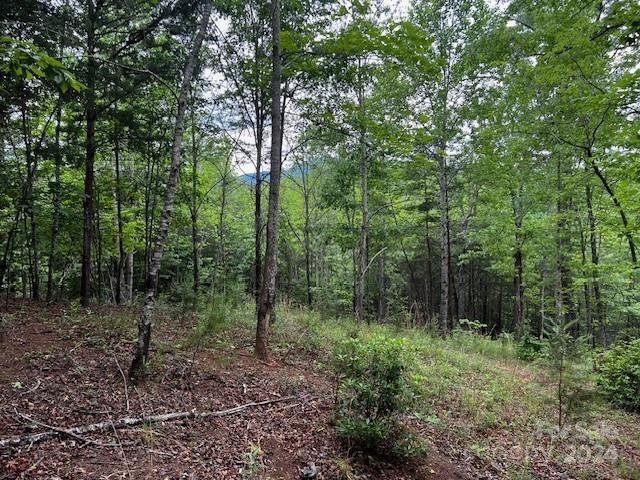 Property image 2 at Lot 11 Lake Adger Parkway, Mill Spring, NC 28756