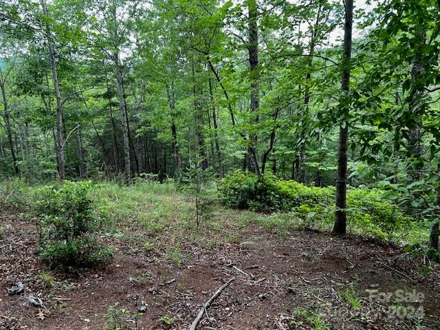 Property image 3 at Lot 11 Lake Adger Parkway, Mill Spring, NC 28756