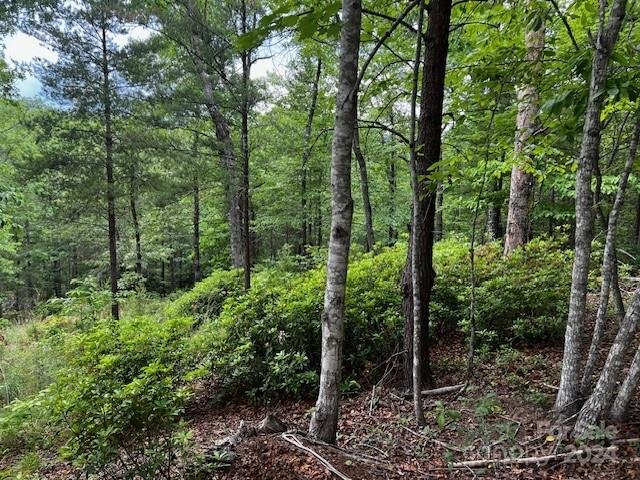 Property image 4 at Lot 11 Lake Adger Parkway, Mill Spring, NC 28756