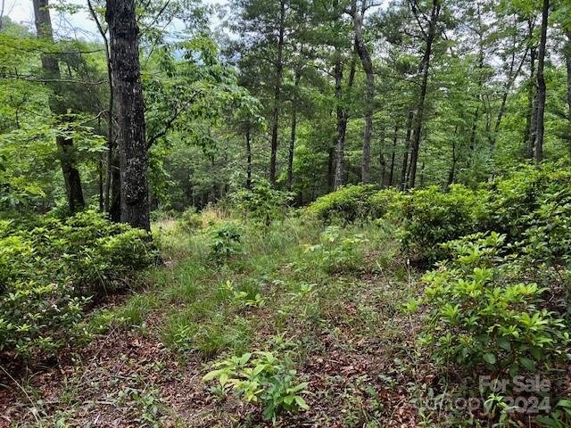 Property image 5 at Lot 11 Lake Adger Parkway, Mill Spring, NC 28756