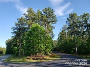 Property image 3 of 000 Loblolly Lane in Ridgeview, Mill Spring, NC 28756