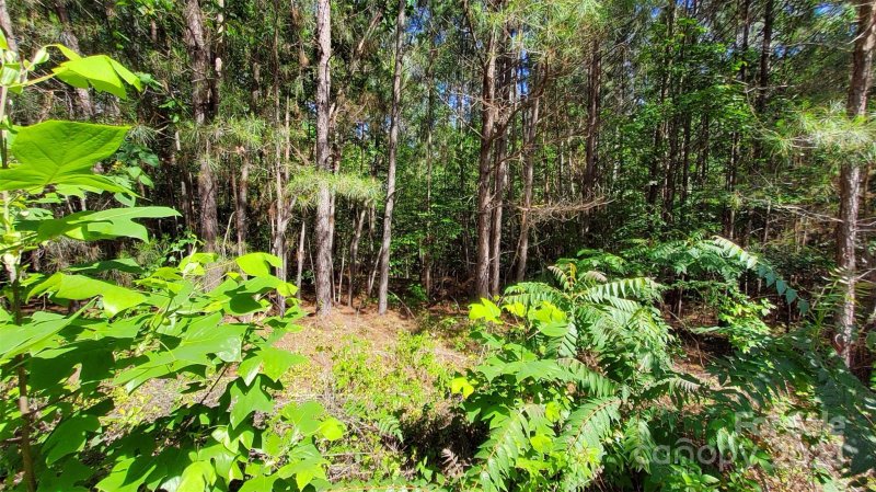 Property image 5 of 000 Loblolly Lane in Ridgeview, Mill Spring, NC 28756