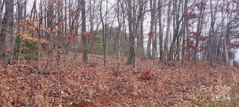 Property image 3 at 18 Watson Road, Nebo, NC 28761