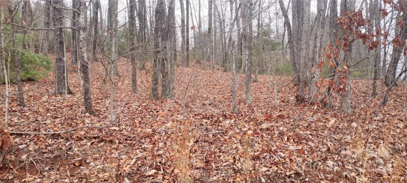 Property image 4 at 18 Watson Road, Nebo, NC 28761