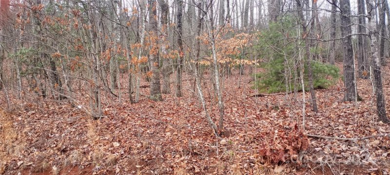 Property image 5 at 18 Watson Road, Nebo, NC 28761