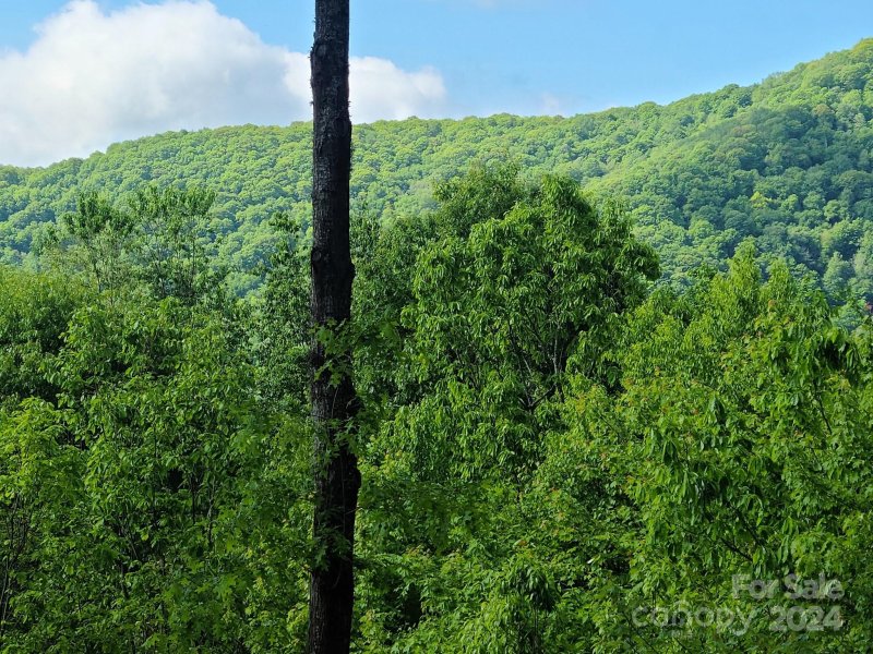Property image 3 of 00 Rising Sun Lane in Villages of Plott Creek, Waynesville, NC 28786