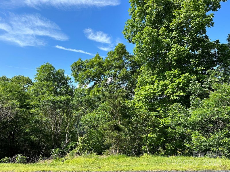 Property image 2 of 387 Wild River Run in French Broad Crossing, Marshall, NC 28753