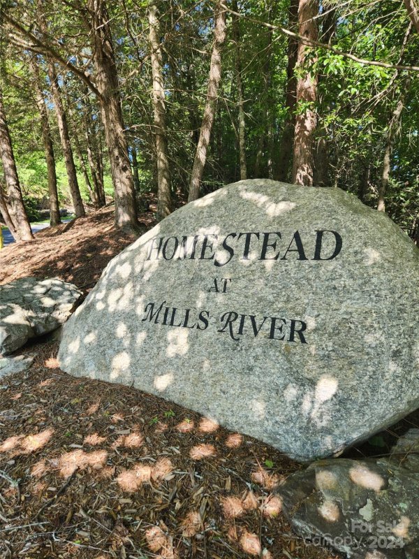 Property image 2 at 190 Stonefly Drive, Horse Shoe, NC 28742