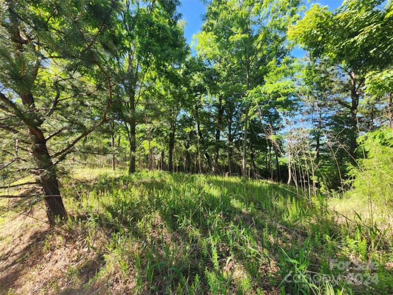 Property image 4 at 190 Stonefly Drive, Horse Shoe, NC 28742