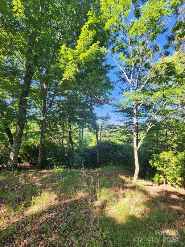 Property image 5 at 190 Stonefly Drive, Horse Shoe, NC 28742