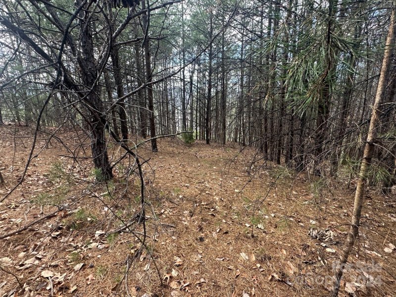 Property image 5 of 0000 Boulder Ridge in The Peaks at Lake Lure, Lake Lure, NC 28746
