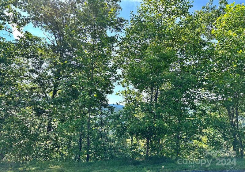 Property image 2 of 385 Wild River Run in French Broad Crossing, Marshall, NC 28753