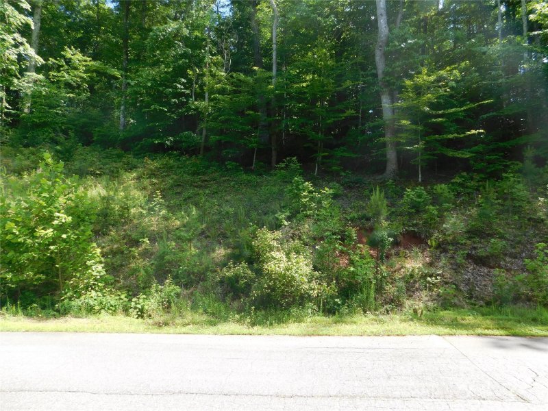 Property image 3 of 305 E Settings Boulevard in Lake Rhodhiss Estates, Valdese, NC 28690